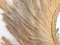 20220517_122720.jpg